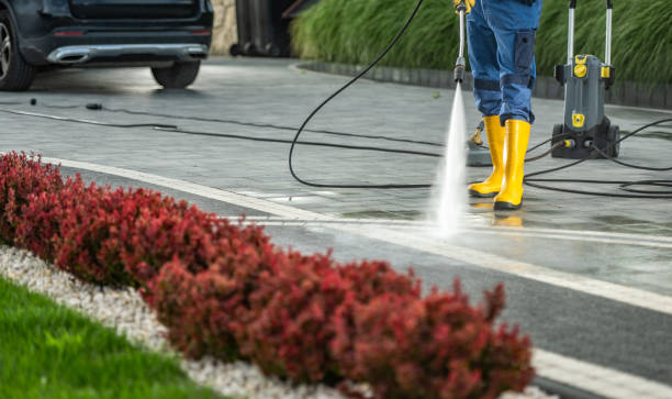 Best Roof Pressure Washing  in Mckee City, NJ